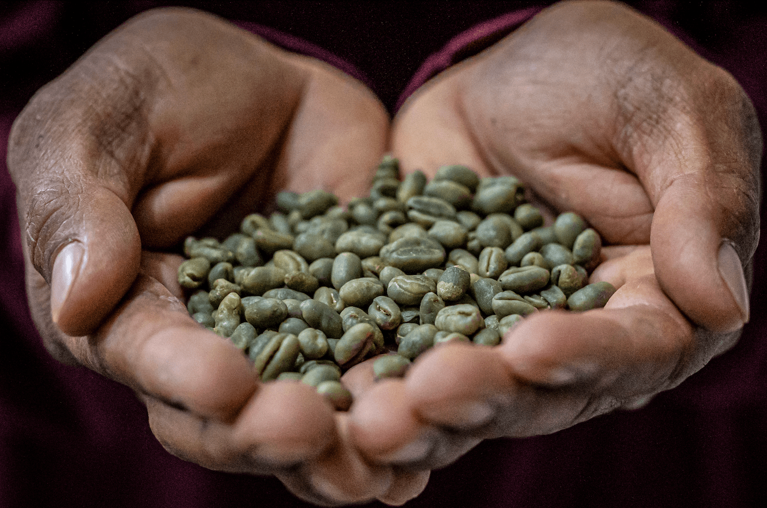 You Thought You Knew Kona Coffee - Big Island Coffee Roasters