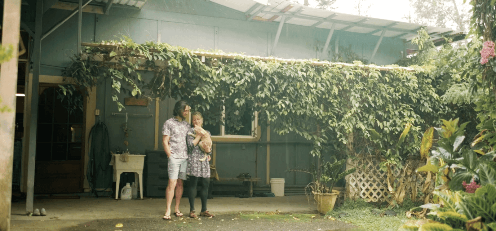 Coffee Harvest Season - A Video by Tay & Mckay - Big Island Coffee Roasters