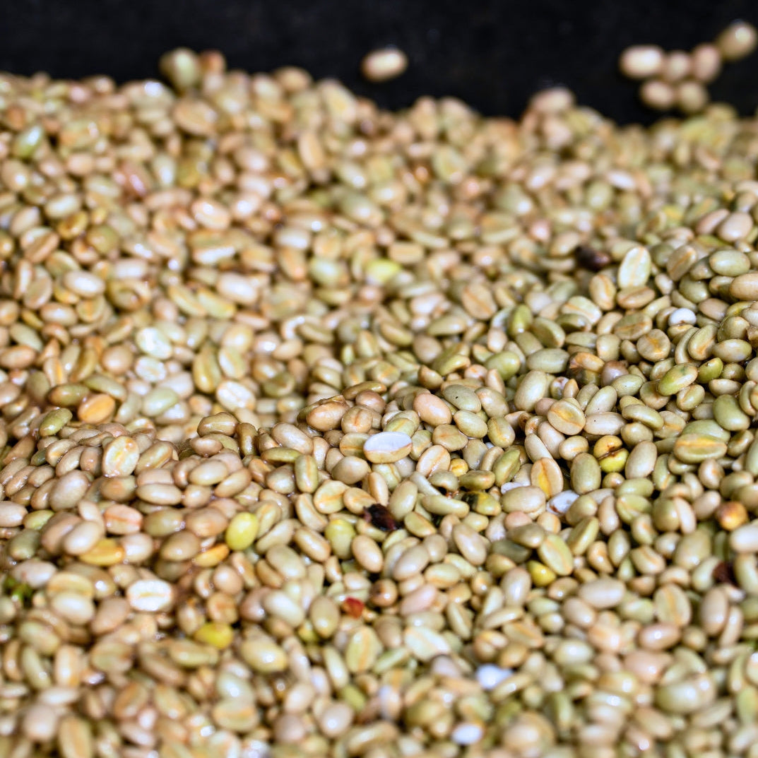 Ka'u Coffee before roasting 