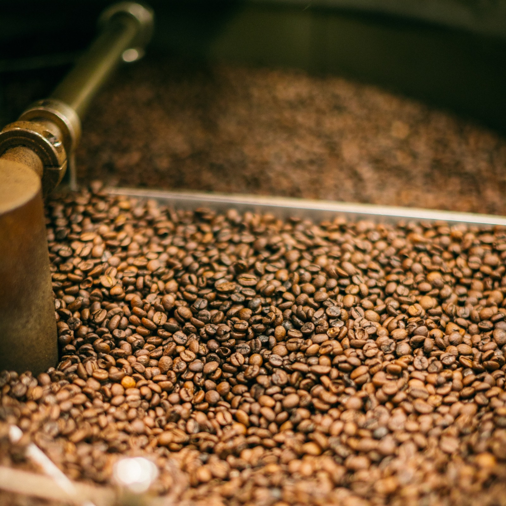 roasting maui coffee